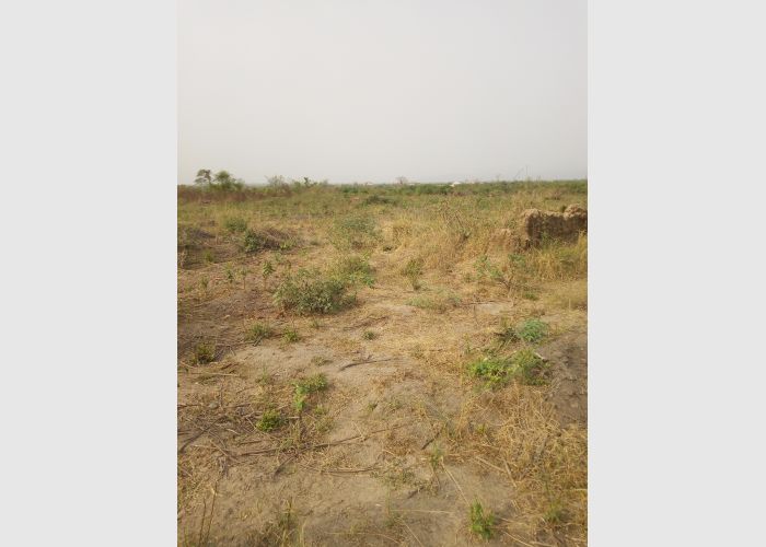 Registered area plot