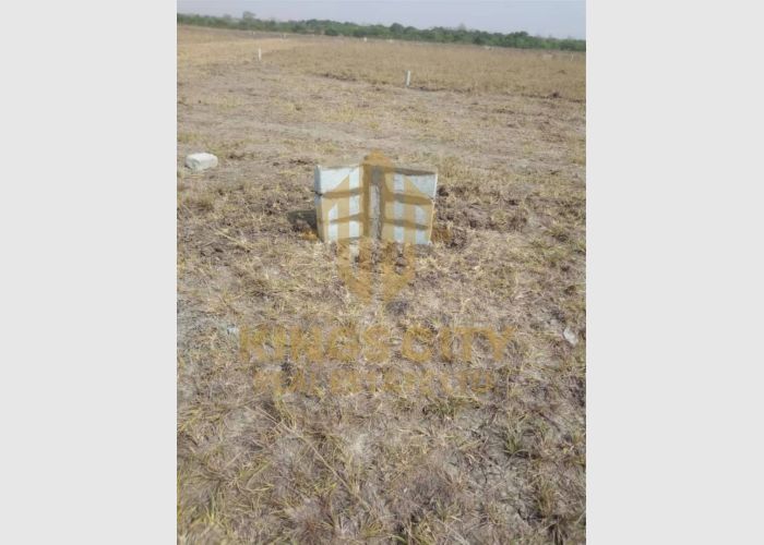 comfortable area land