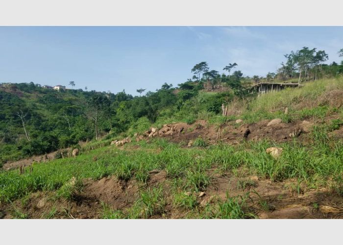  6 Plots Of Land At Mamfe 