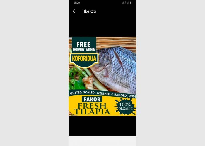 Tilapia and Shrimps ( Fresh) 