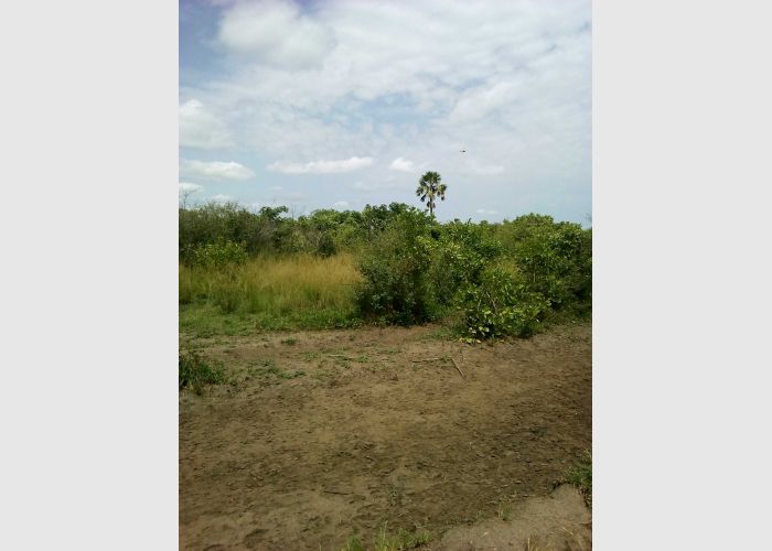 Farming land for sale