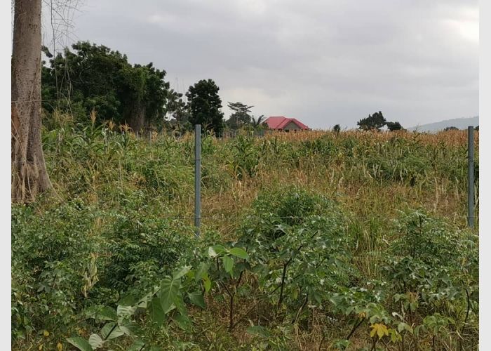 Lands for sale at Bawaleshie