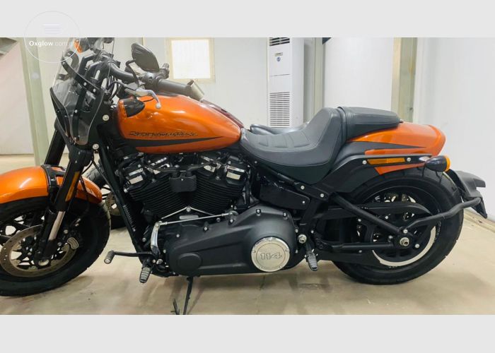 2019 Harley Davidson fatbob