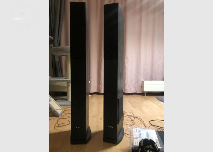 AEG Active Pair Speaker