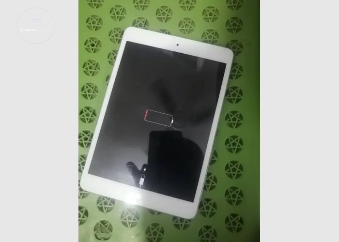 Apple Mini iPad 