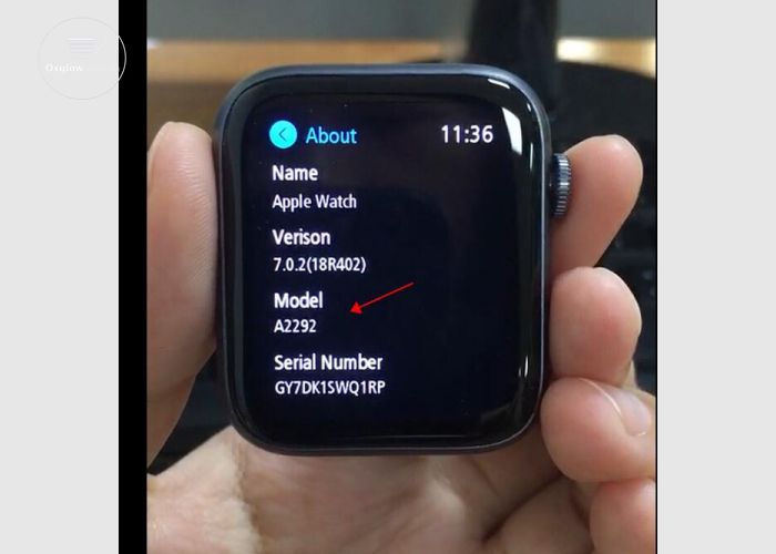 Apple Watches 