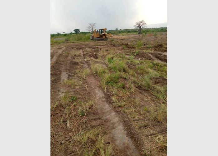 ASUTUARE FARMLANDS 4 SALE