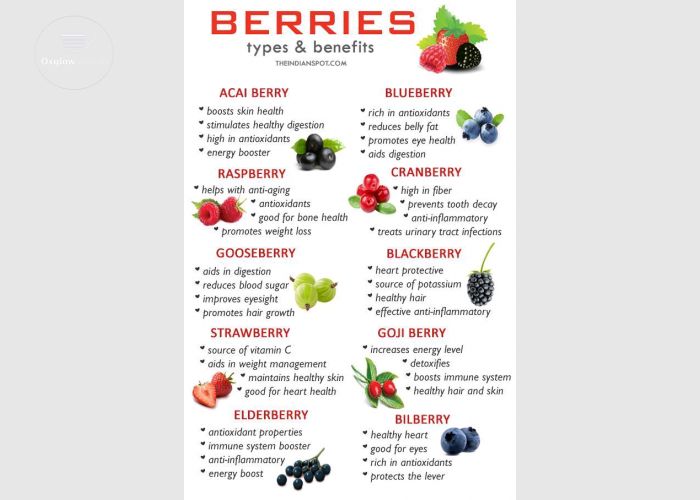Buy Miralce Berry Seedlings 