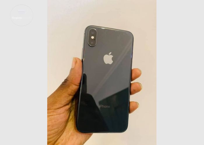iPhone X 256