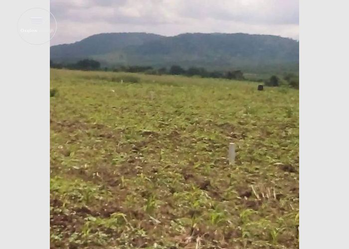 Land for sale or Rent