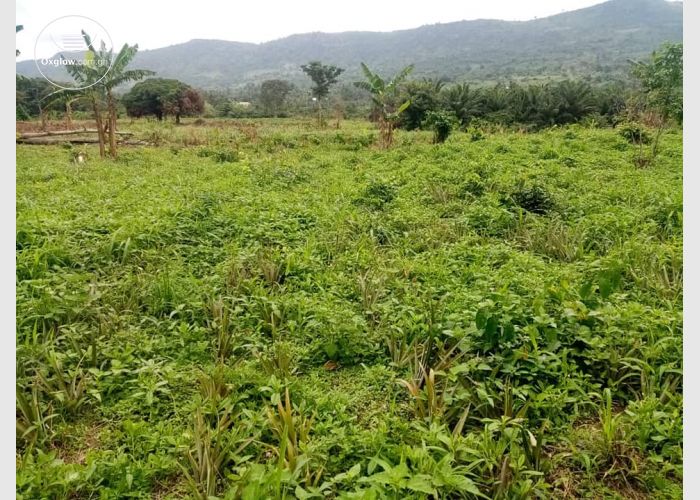 LANDS FOR SALE