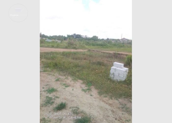 Plots of Lands For sale