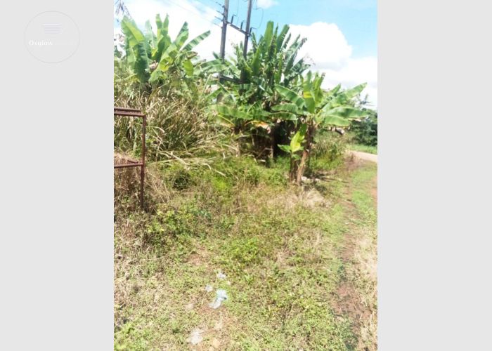 POULTRY FARM ON 10 PLOTS AT GOMOA POTSIN