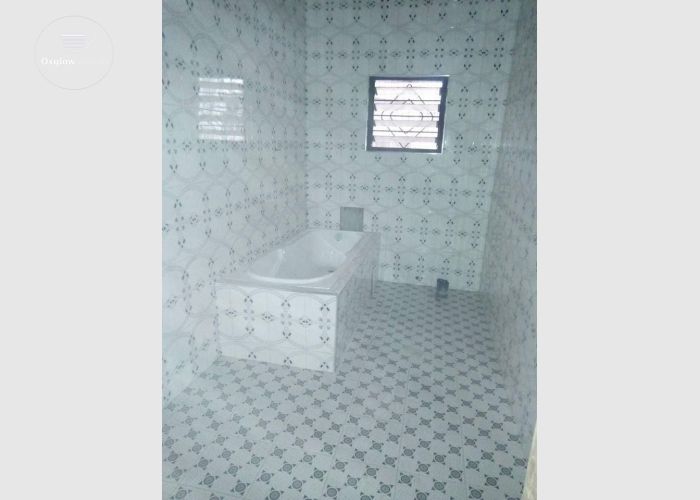 Professional Tiler