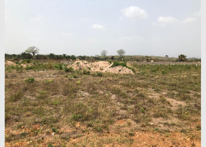 Safe Lands in Ho (Wayanu)