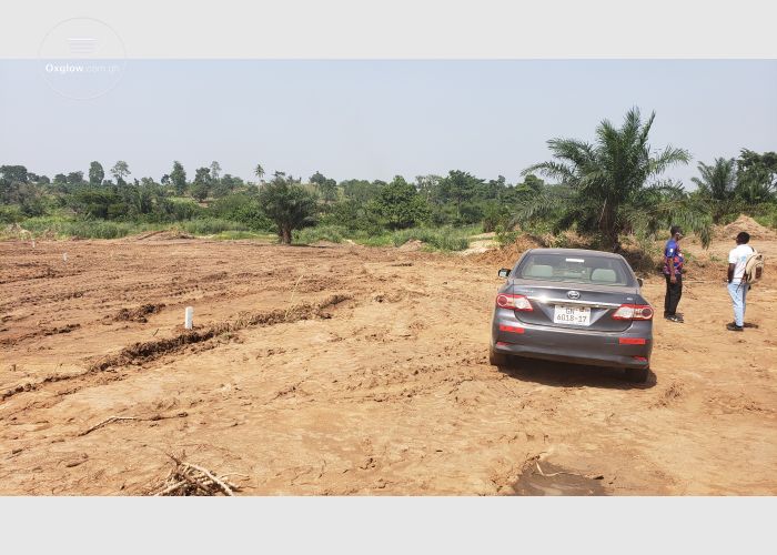 Special sales of land at teacher mante and Amanase 