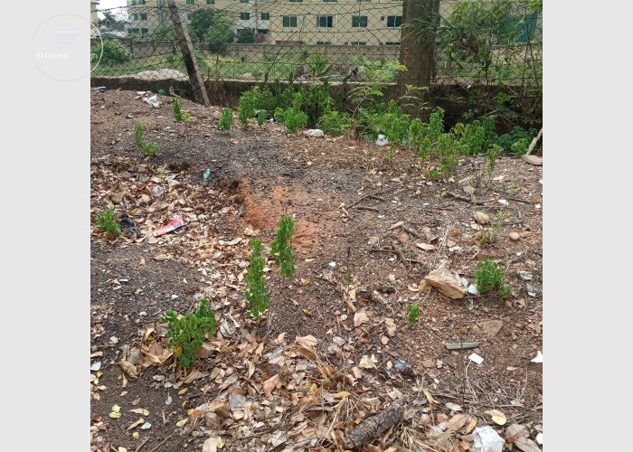 TITLED 2 PLOTS AT NORTH RIDGE, NEAR ALISA HOTELS