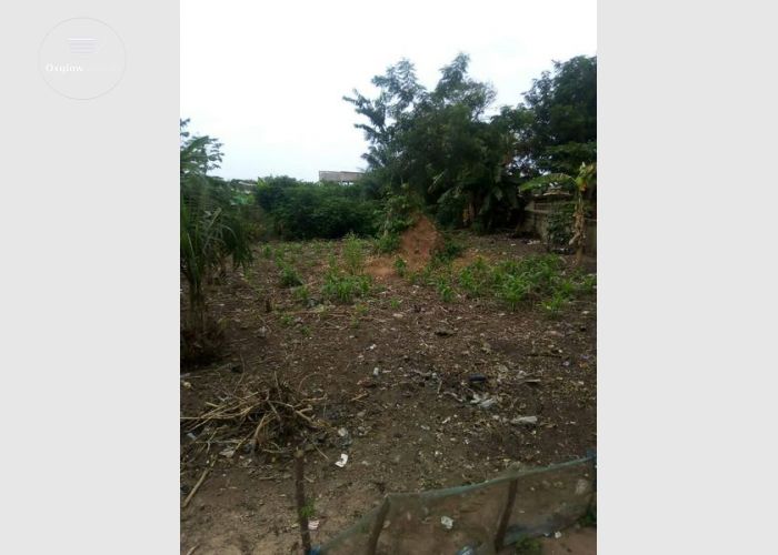 Two plots land for sale