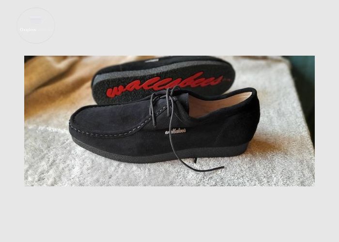 Wallabies Clarks