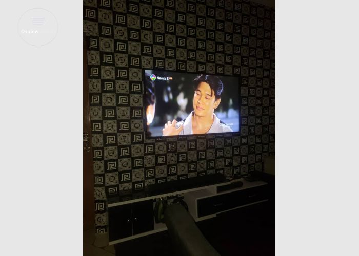 WebOS 55inches 4k smart Digital satellite TV