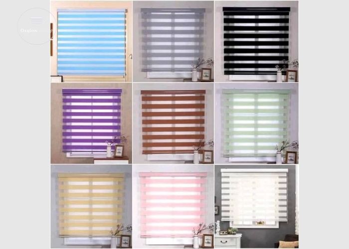 Window Blinds