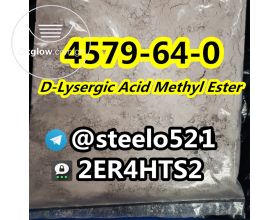 best price cas 4579-64-0 D-Lysergic Acid
