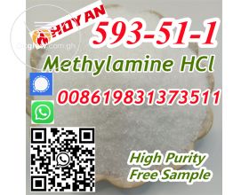 CAS 593-51-1 Methylamine HCl Supplier Ch