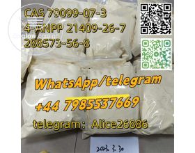 CAS 79099-07-3/4-ANPP 21409-26-7/288573-