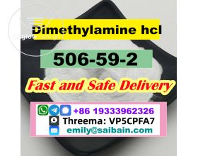 Dimethylamine hydrochloride cas 506-59-2 deliver to EU/RU/AU/NZL/ME
