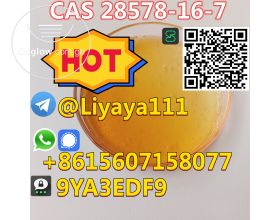 Hot selling CAS 28578-16-7 best price sa