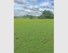 Installment Plan for lands for sale
