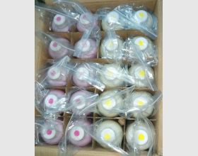 Eco solvent inks