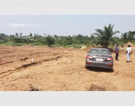 Special sales of land at teacher mante and Amanase 