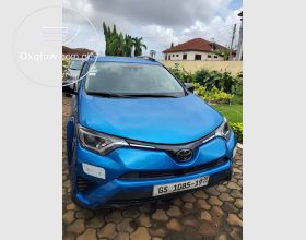 Toyota RAV4 LE 2017 Model