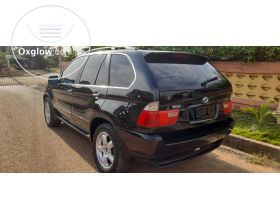 .BMW X5 going out for a low price .