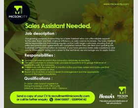 .Jobs Vacancy for Sales Assistant .