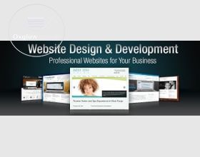 .Website Design & Development.