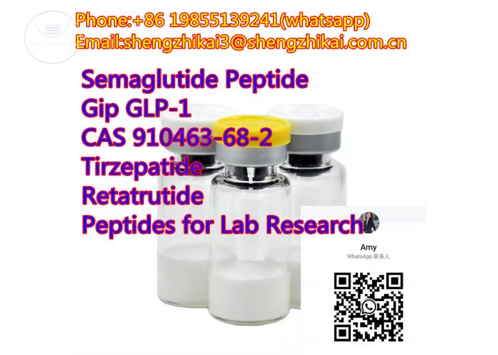  Semaglutide Weight Loss Injections Peptide CAS No. 910463-68-2 