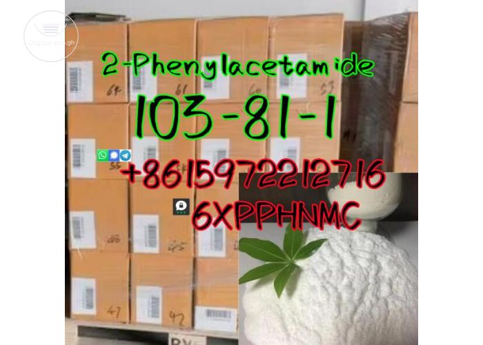 2-Phenylacetamide 103-81-1 large in stock 
