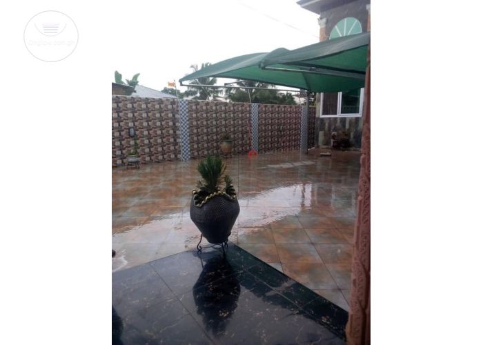 Listing Fallback Image