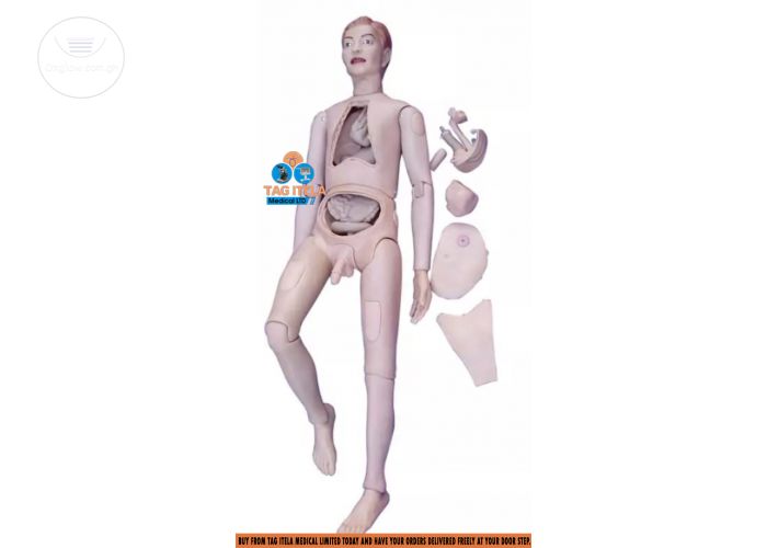 Anatomy Manikin Dummy (Full Body Unisex)