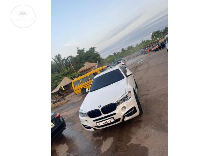 BMW X6 35i