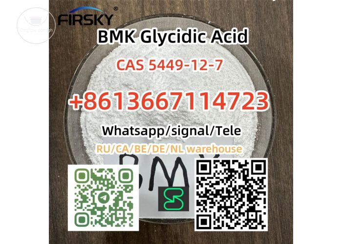 CASÂ 5449-12-7Â BMKÂ GlycidicÂ AcidÂ (sodiumÂ salt)Â  +8613667114723