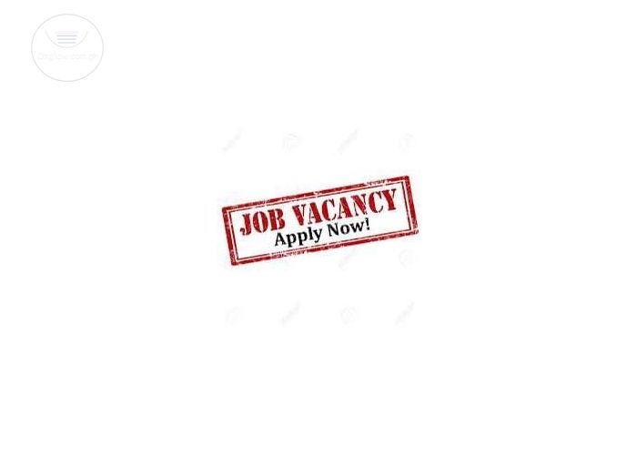 Cashiers Needed Urgently 