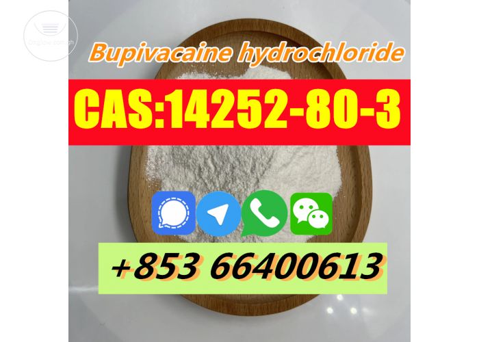 Factory Supply High Quality CAS 14252-80-3 Bupivacaine hydrochloride