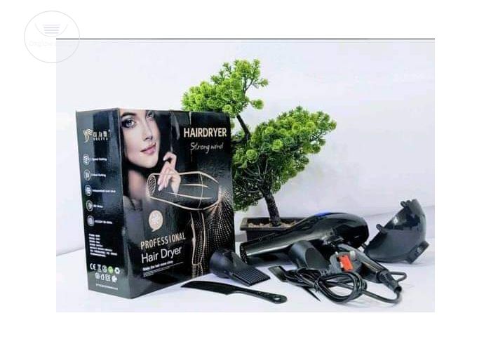 Hair dryer