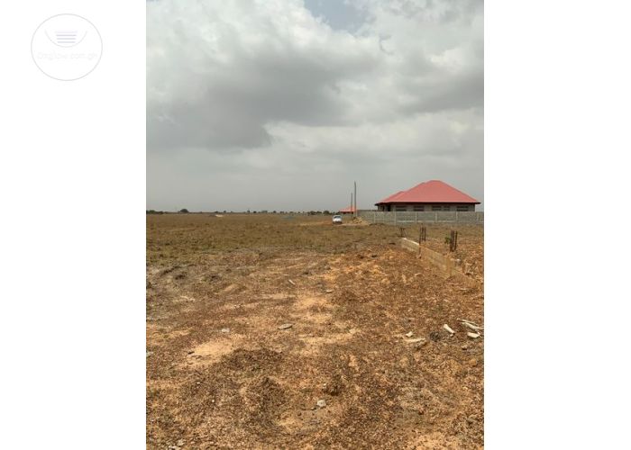 Listing Fallback Image