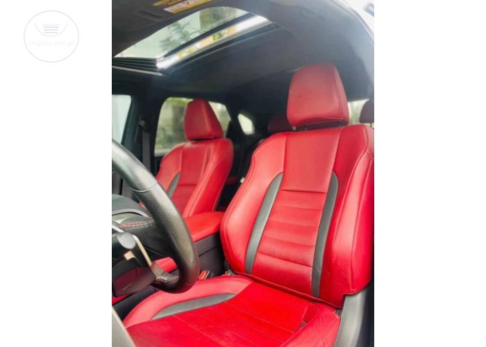 Lexus RX250 Sports