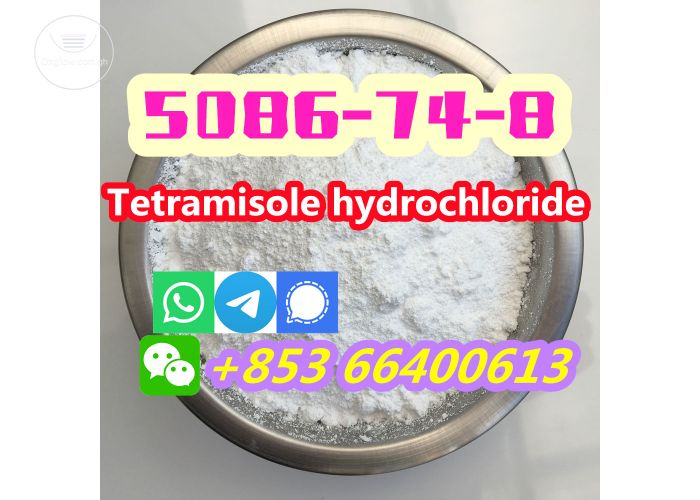 Manufacturers Direct 99% Pure CAS 5086-74-8 Tetramisole hydrochloride