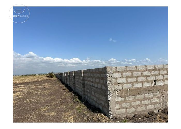 Listing Fallback Image